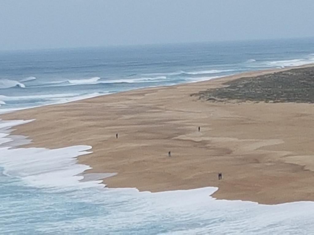 O Paraiso No Terraco Foz do Arelho Ngoại thất bức ảnh
